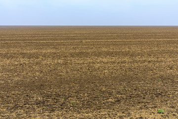 Fototapeta na wymiar Agriculture field ready for sowing seed