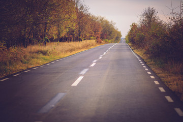 Fototapeta premium Autumn scene with road in forest. cinematic style.