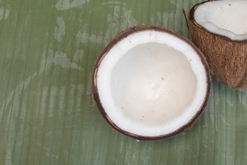 Close up of coconut on green background