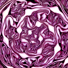 Obraz premium Red cabbage texture