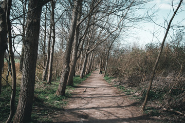 Obraz premium Ostsee Urlaub an der See