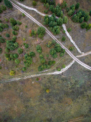 autumn forest, road in the forest, view from above