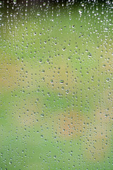 Rain drops on glass window with fresh outdoor background