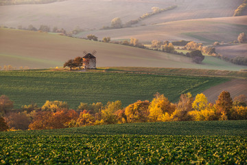 Landscape with waves hills, autumn fields with mill. South Moravia