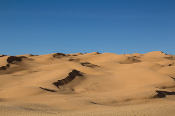 Fototapeta na wymiar Shadows over sandy dunes back to back in the Sahara desert in Tunisia
