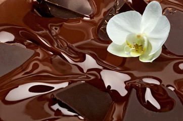 Melted chocolate background / melting chocolate/ chocolate background / chocolate bar