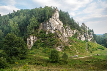 Fototapeta na wymiar Dolinki krakowskie-Dolina Kobylańska