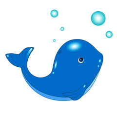 Baby blue whale