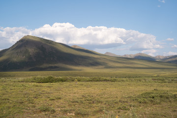 Fototapeta premium Tombstone Territorial Park
