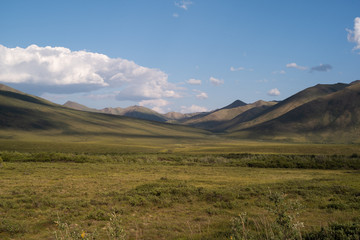 Obraz premium Tombstone Territorial Park
