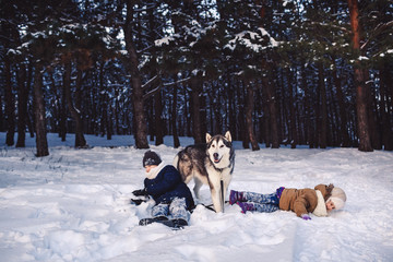 Children have fun playing with their dog in the park in winter.