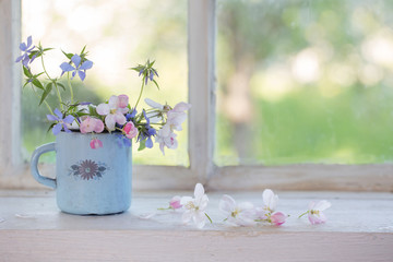 spring flowers in cup on windowsill