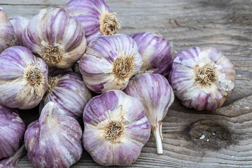 Garlic on wooden vintage background. Seedlings for planting garlic.