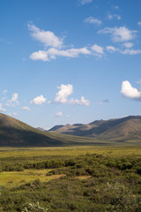 Fototapeta premium Tombstone Territorial Park