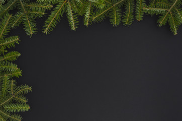 Fototapeta na wymiar Christmas tree isolated on the black background. flat lay mock-up