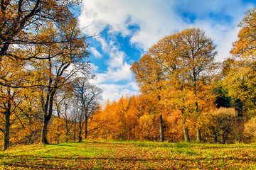 autumn colours at a reservoir in the uk