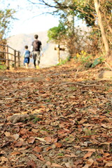 Fototapeta premium 西伊豆 秋の燈明ヶ崎遊歩道