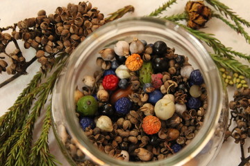 カラフル秋の実