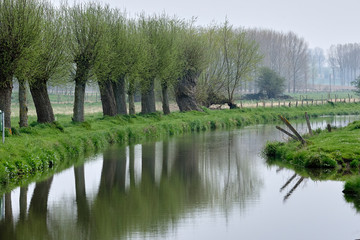 Zwalm beek Vlaamse Ardennen