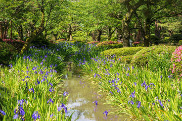 城下町・金沢　新緑の兼六園