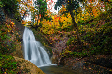 Fototapeta na wymiar Waterfall among many foliage, In the fall leaves Leaf color change In Yamagata, Japan