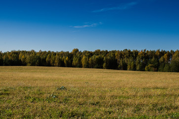 Fototapeta premium Rural nature in the farmland. Countryside natural landscape. 