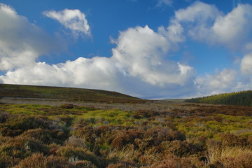 autumn colours in the uk