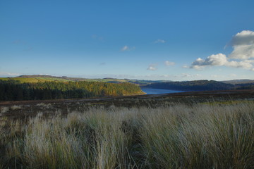 autumn colours in the uk