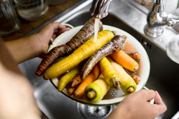 Chef washing carrots and turnips in the sink
