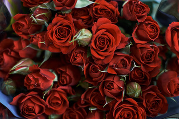 bouquet of red roses close-up. big bouquet