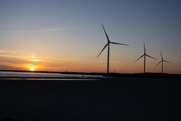 Obraz premium Windrad im Sonnenuntergang