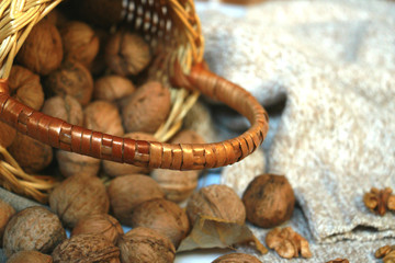nuts isolated on the floor