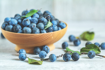 Autumn harvest blue sloe berries on a light wooden table background