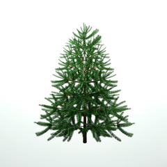 Green Christmas tree on a white background. 3d render