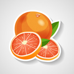Grapefruit sticker vector illustration. Cartoon sticker with white contour in comics style.