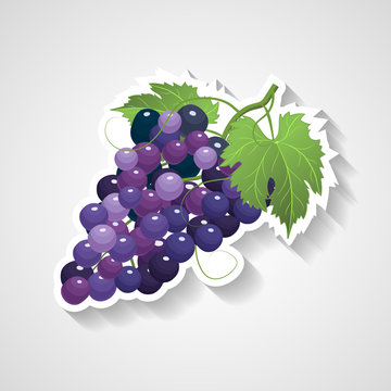 Grapes sticker vector illustration. Cartoon sticker with white contour in comics style