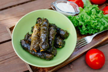 Dolma - traditional Caucasian, Georgian or Armenian food. Minced meat and rice wrapped in grape leaves.