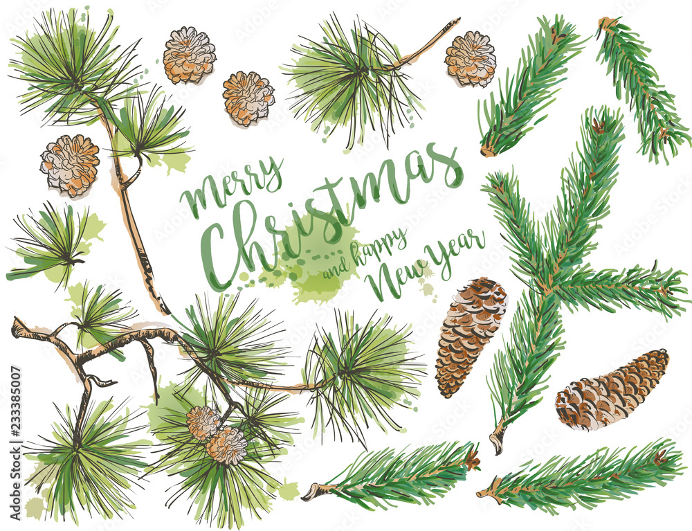 Wall mural the set of pine branch tree and spruce branch elements with cone, doodle.