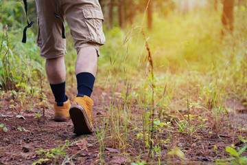 Hikers boots on forest trail. Autumn hiking. Close-up of male walking in trekking shoes on the background of leaves and trees. Travel, Sports, Lifestyle Concept.