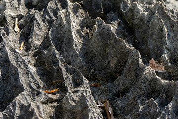 The limestone mountains