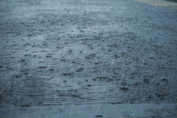 Rain fall on the ground in rains season.