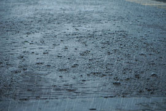 Rain fall on the ground in rains season.