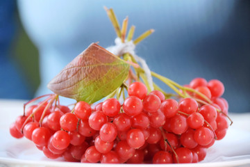 Bunch of red organic viburnum berries with beautiful red and green leaf on white porcelain plate and blurred woman figure in blue sweater on background