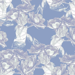 Seamless pattern of roses drawn with pencil.