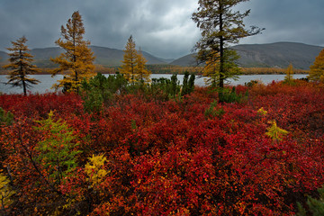 Russia. Magadan. The amazing beauty of the autumn of the Far East. The lake Maxi