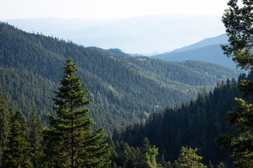 Montagne et forêt, Borjomi, Géorgie