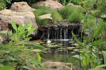 water, landscape, nature, river, lake, sky, grass, waterfall, tree, winter, forest, snow, view, blue, spring, green, sea, trees, countryside, panorama, pond, summer, ice, season, scenery