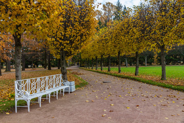 Autumn. Park Alley. Catherine Park. Pushkin, St. Petersburg, Russia
