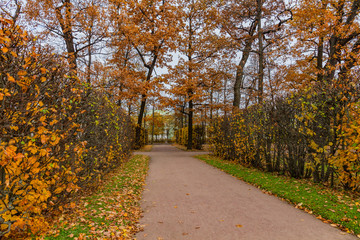 Autumn. Park Alley. Catherine Park. Pushkin, St. Petersburg, Russia