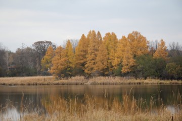 Fototapeta premium lake in autumn